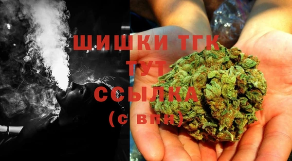 PSILOCYBIN Новодвинск