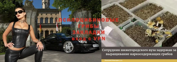 прущая мука Арсеньев