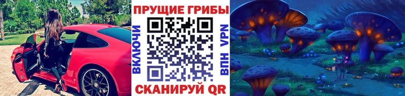 закладки  сайты даркнета телеграм  Галлюциногенные грибы GOLDEN TEACHER  Сосногорск 